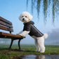 Black Raincoat for Dogs in Spring and Summer. For Use During Rainy Seasons. Suitable for Small and Medium-Sized Dogs as All-Weat