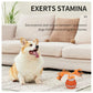 Pet Ball for Dogs Interactive Toys Motion Activate Rolling Ball for Puppy/Small Dogs Automatic Moving Toy USB Rechargeable Toy