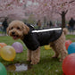 Black Raincoat for Dogs in Spring and Summer. For Use During Rainy Seasons. Suitable for Small and Medium-Sized Dogs as All-Weat