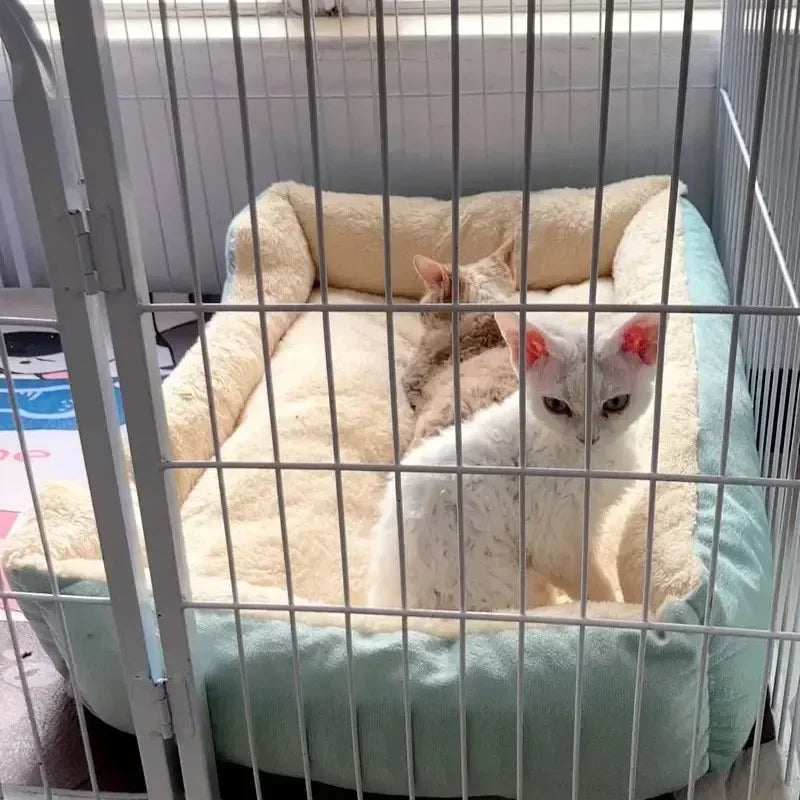 Cats Bed Dog Mat Beds Goods Pet Puppy Accessories All Products Kitten Cushions Things Accessory Houses Habitats House Supplies
