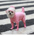 Dog Raincoat  Pet Rain Jacket for Small Medium Large Dogs Full Body Coverage with Hat