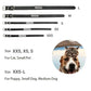 Personalized Dog Collar Name Carved ID Anti-lost Solid PU Leather Collar For Small Medium Large Dogs Puppy Cat Pet Supplies Pink