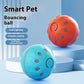 Pet Play Toy Ball, Electric Dog Ball, USB Rechargeable Dog Interactive Toy, Good Companion for Dogs