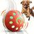 Pet Play Toy Ball, Electric Dog Ball, USB Rechargeable Dog Interactive Toy, Good Companion for Dogs