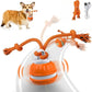 Pet Ball for Dogs Interactive Toys Motion Activate Rolling Ball for Puppy/Small Dogs Automatic Moving Toy USB Rechargeable Toy
