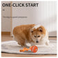 Pet Ball for Dogs Interactive Toys Motion Activate Rolling Ball for Puppy/Small Dogs Automatic Moving Toy USB Rechargeable Toy